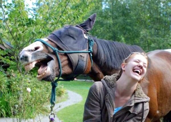 Horse laughing with its mouth wide open next to a laughing woman