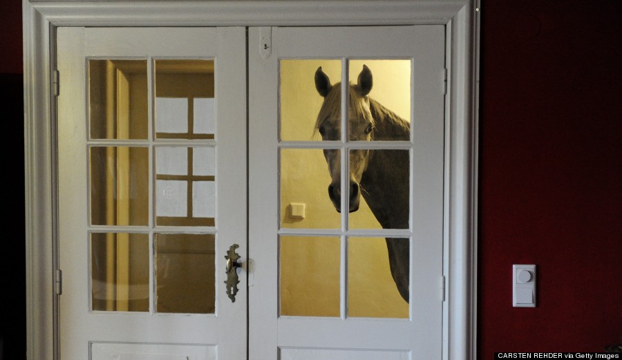 Horse staring through the glass door of a house at night